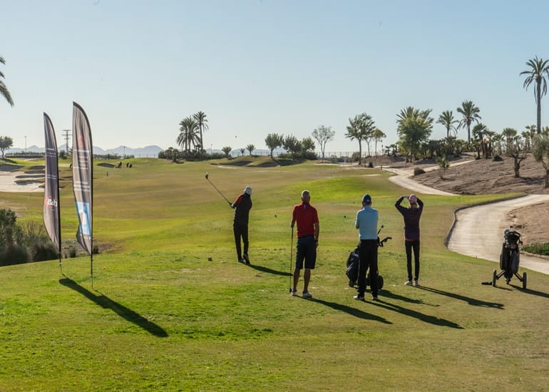 untitled 8 untitled 8