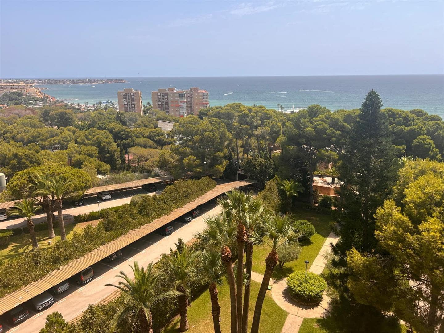 null in Campoamor